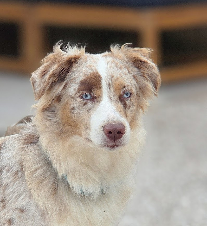 💍 Mariage prévu Vanity × Rolex